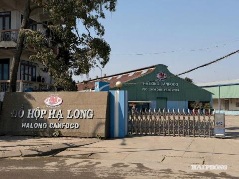 Bắt Tổng giám đốc Công ty CP Đồ hộp Hạ Long trong vụ thịt lợn nhiễm dịch