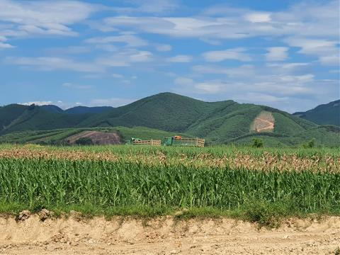 Nghệ An: Rầm rộ khai thác đất nông nghiệp trái phép tại huyện Tân Kỳ