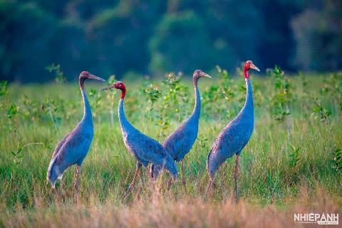 Chọn sự khác biệt - làm sao xác lập sự xuất sắc?