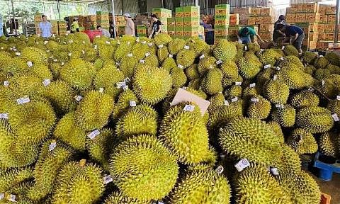 Xử lý thông tin 