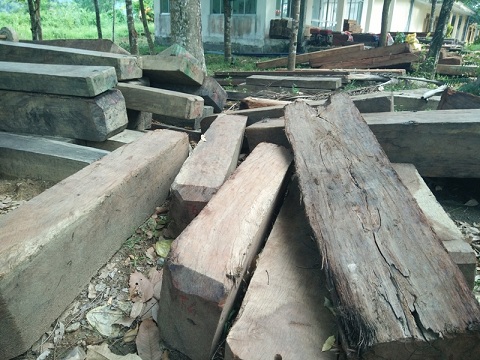Lượng lớn gỗ từ nhóm III đến nhóm VI được đưa về Ban Quản lý rừng đặc dụng Sông Thanh. Ảnh: XUÂN BẮC