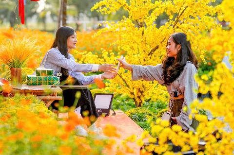 Rực rỡ Xuân phương Nam