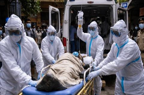 Bộ Y tế yêu cầu cơ sở khám chữa bệnh chủ động phòng chống bệnh do virus Nipah